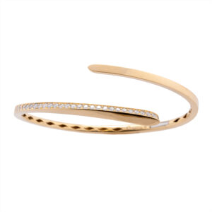 Pulseira Rigida Bri Au Am